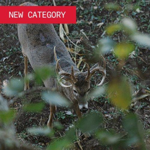 new category 